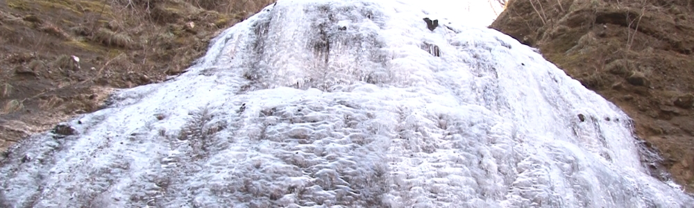 ニュース・報道